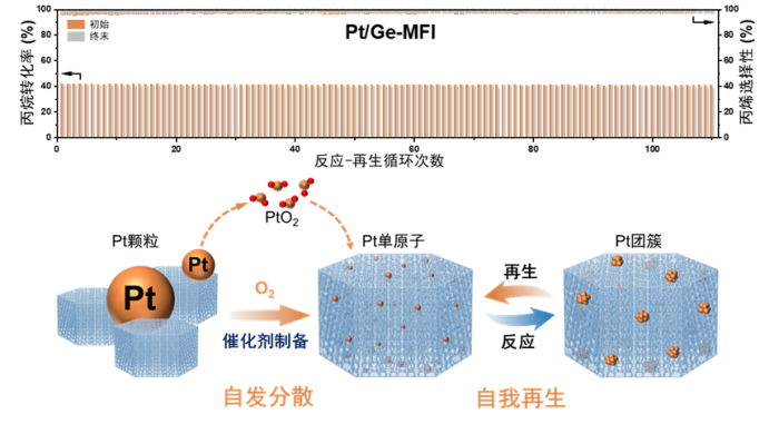 e9978d16053aa5a4dcaa0b55d6680c45.png